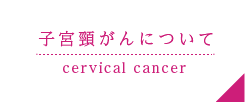 子宮頸がんについて